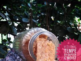 kripik tempe