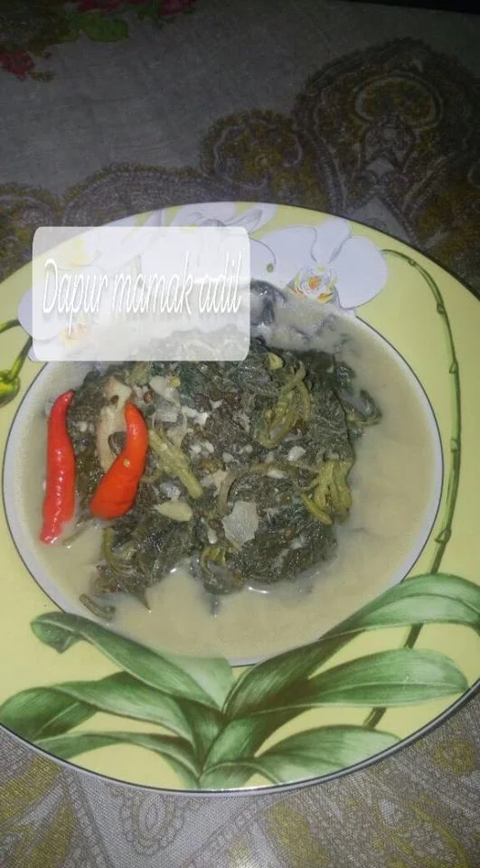 Sayur Bangun Bangun by Adv Liza A Z