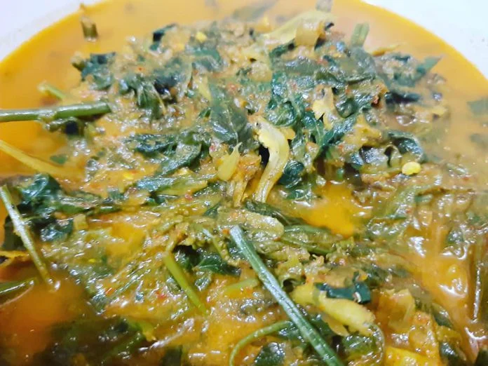 Gulai Daun Pakis by Yinghwa Chen