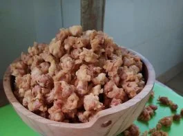 Kacang Disco Kribo by Anne Rose