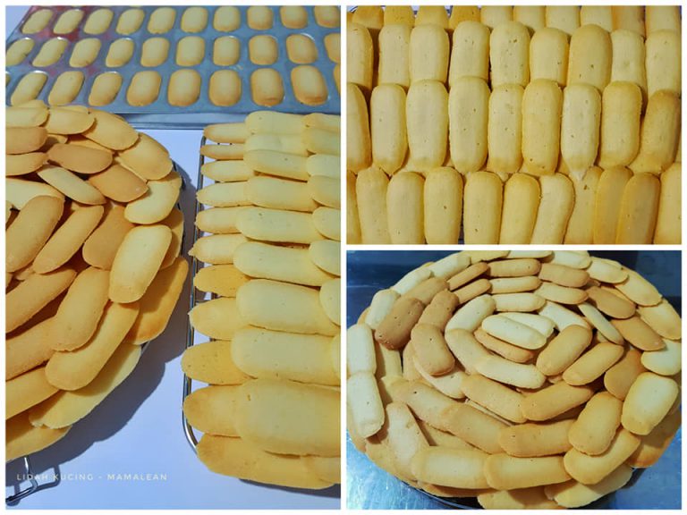 Lidah Kucing by Beta Wicaksono