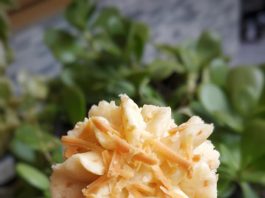 SAGU KEJU (EGGLESS) by Wawa Wiati