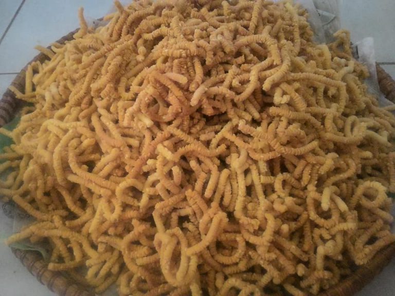 Akar kelapa by Elfi Maizul Elfi