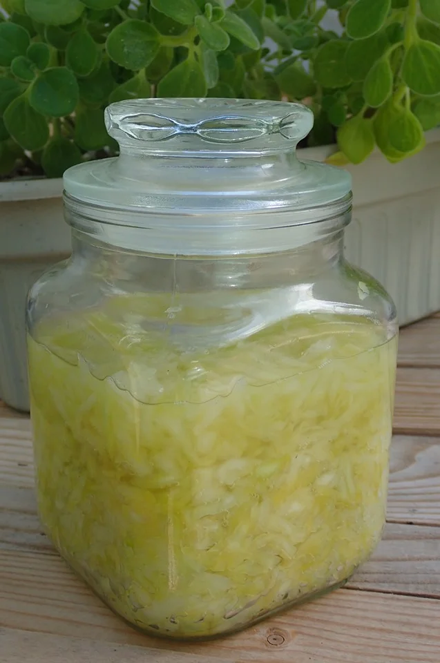 Sauerkraut Makanan untuk ‘Tentara Perut’ by Arti Jorgenson