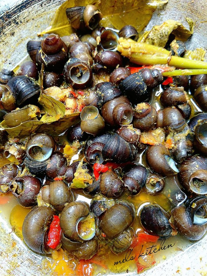 TUTUT PEDAS KUAH KUNING by Melany Sam's