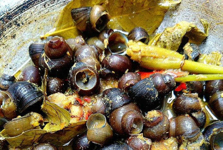 TUTUT PEDAS KUAH KUNING by Melany Sam's