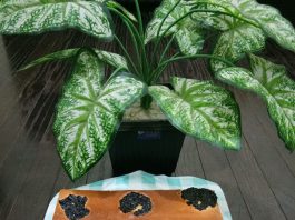 Lapis Legit spekuk by Sherly Mumtaaz