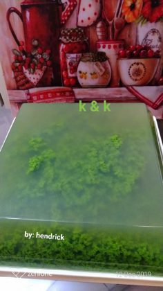 PUDING LUMUT by Hendrick Christoferus - makanan cantik, makanan lembut, olahan desert, olahan pencuci mulut, resep desert