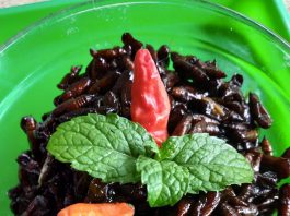 UNGKRUNG/KEPOMPONG ULAT JATI BUMBU BACEM by Rhimaalia Marhendiaana Putri