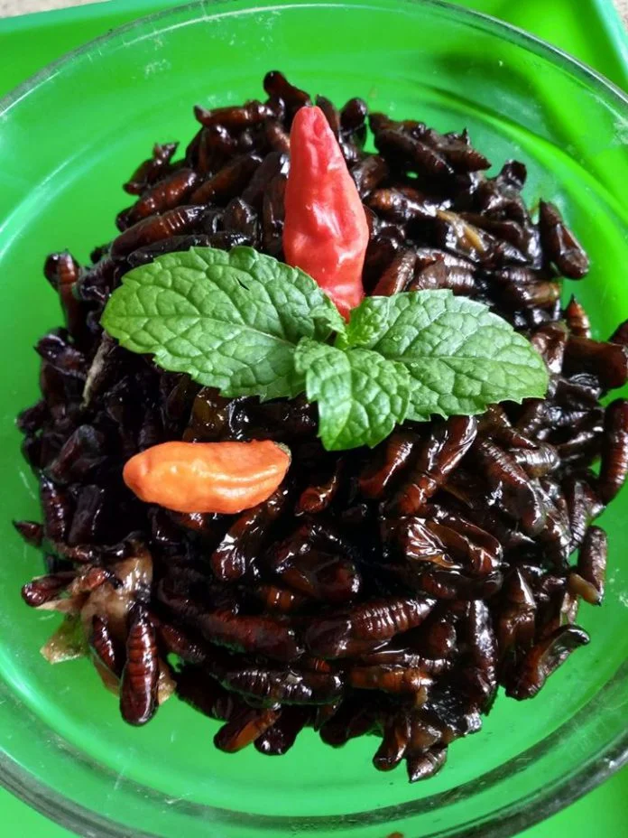 UNGKRUNG/KEPOMPONG ULAT JATI BUMBU BACEM by Rhimaalia Marhendiaana Putri