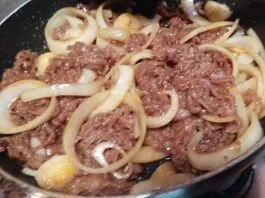 masakan ala Jepang yang praktis by Laily Fadhilah