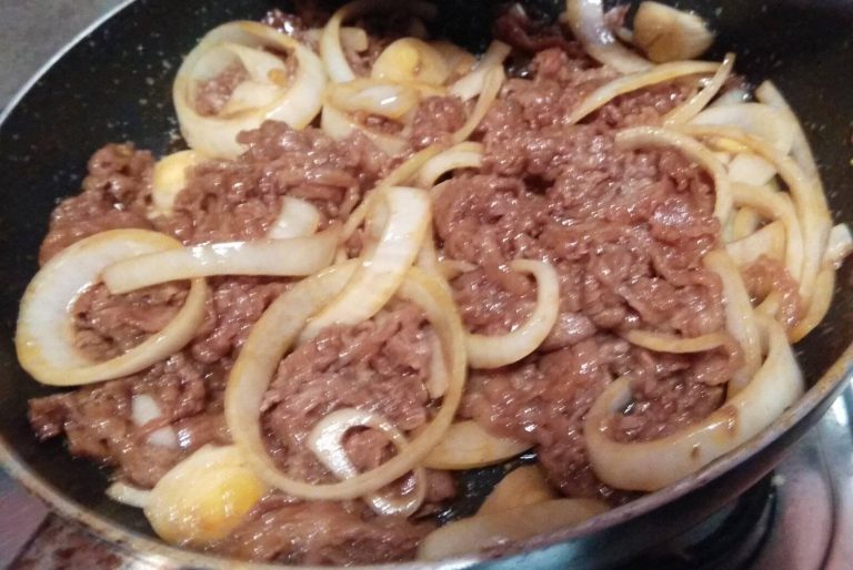 masakan ala Jepang yang praktis by Laily Fadhilah