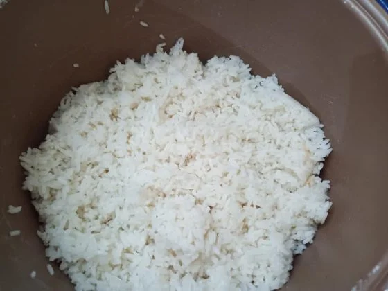 Resep nasi hainam by Yulia Dwi S 3