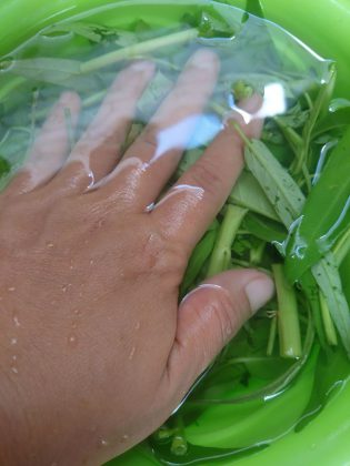 Cara Memasak Tumis kangkung by Nanda Sukesi 1