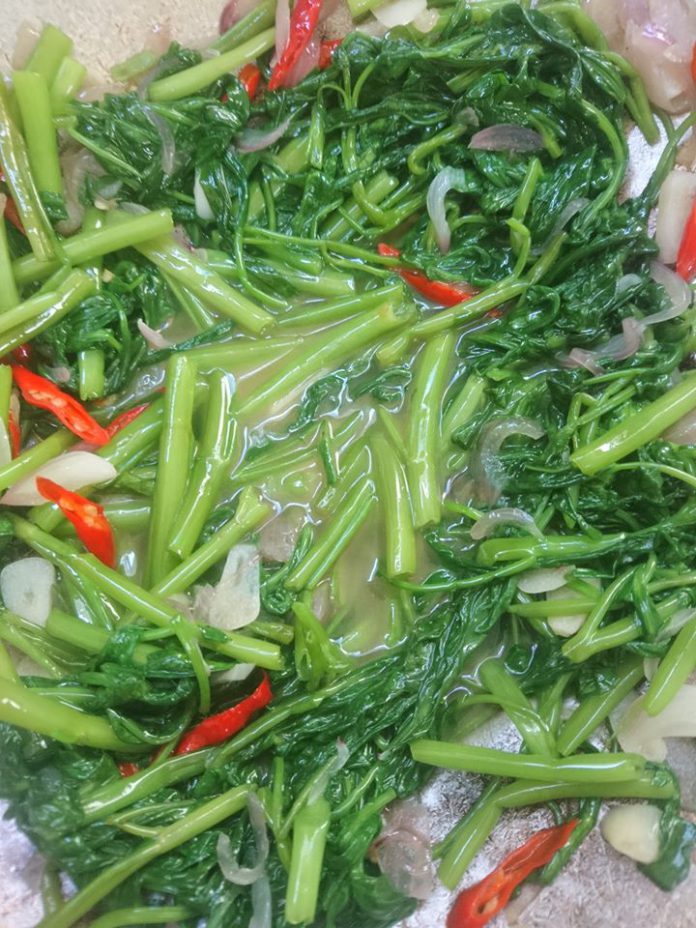 Cara Memasak Tumis kangkung by Nanda Sukesi