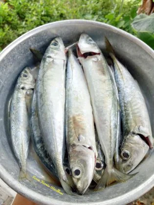 goreng ikan tidak keras dan bumbu meresap sempurna by Novie Kurnia Wardani