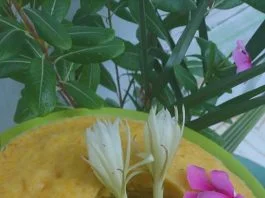 Bolu Ubi Rambat by Nanda Sukesi