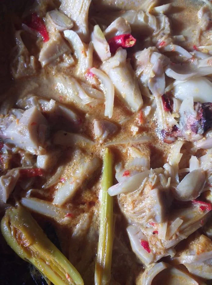 Gulai Nangka Muda by Hidayah Anda Sari