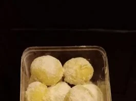 PUTRI SALJU by Catarina Kartika Wati