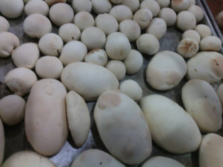 Resep NOPIA / Mino by Titiek Es