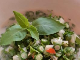 SALAD BUMBU KENCUR by Eva Oeyik