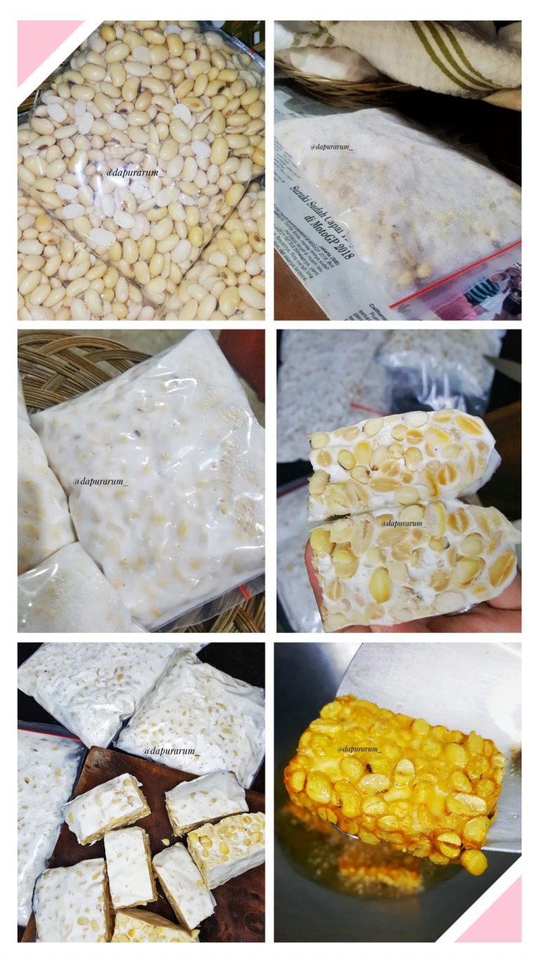 membuat tempe kedelai by Delina Arum