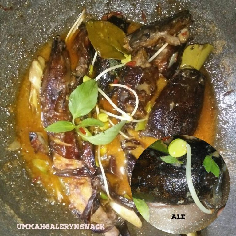 resep Mangut lele bumbu kencur by Novi Astutik Solekha