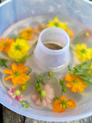 resep Puding Edible Flowers by Lia - aneka desert