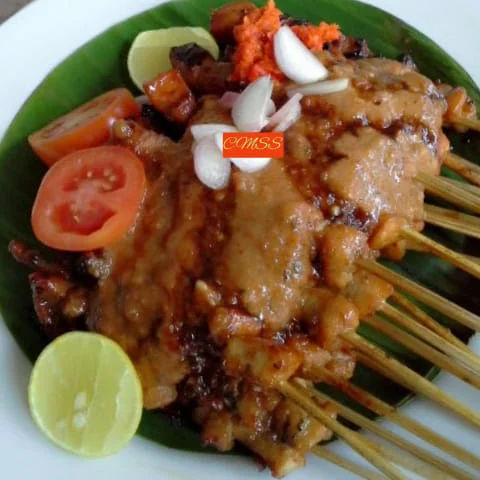 resep SATE AYAM by Catharina Maria Sri Sumarti