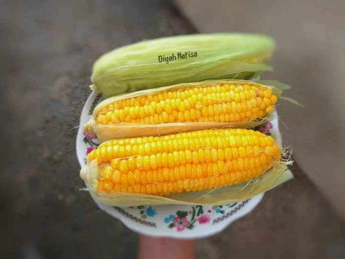 bumbu oles jagung bakar by Diyah Nafisa bumbu oles jagung bakar by Diyah Nafisa