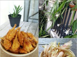 Bunga Wijaya Kusuma Krispi by Emma Rumawas