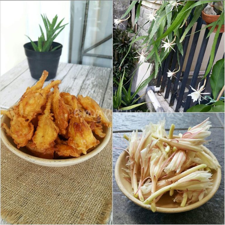 Bunga Wijaya Kusuma Krispi by Emma Rumawas