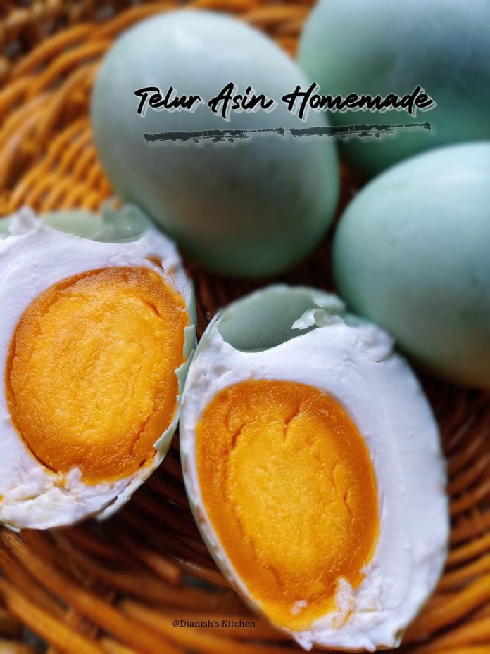 TELUR ASIN HOMEMADE by Dianish's Kitchen TELUR ASIN HOMEMADE by Dianish's Kitchen