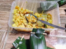 Arem Arem Ikan Peda by Dedy Prasnowo 2