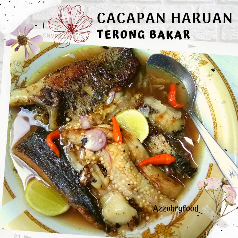 CACAPAN HARUAN PLUS TERONG BAKAR by Novita Azzuhry