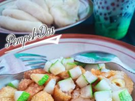 Trial pempek tanpa ikan PEMPEK DOS by Novie Kurnia Wardani