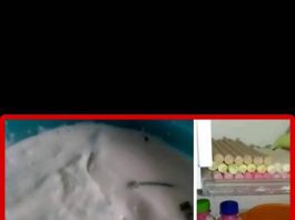 Yoghurt plain by Dapur Intan