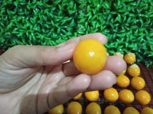 penjelasan ahli baking TIPS MEMBUAT NASTAR by Dapur Ummu Fatih 1