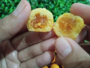 penjelasan ahli baking TIPS MEMBUAT NASTAR by Dapur Ummu Fatih 2