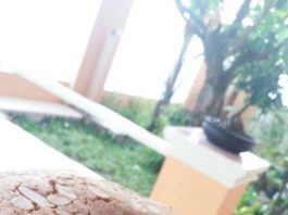 Bolu pandan by Wiwit Dapur Aisyah