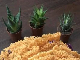 Cocok buat cemilan atau buat teman makan Kremez by Fah Umi Yasmin