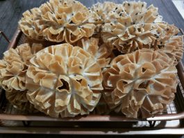 cocok untuk lebaran KEMBANG GOYANG by Rizki Amelia Sumrachadi