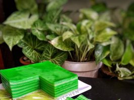 KUE LAPIS BERAS PANDAN by Meitiara Chandrasari