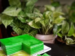 KUE LAPIS BERAS PANDAN by Meitiara Chandrasari