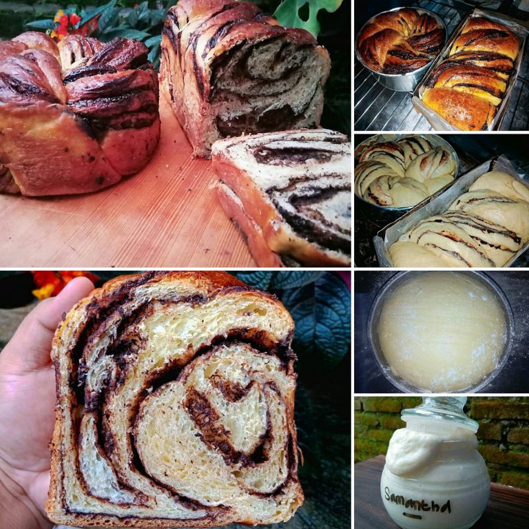 Levain/Ragi natural in Chocolate Babka by Dodik Aprianto