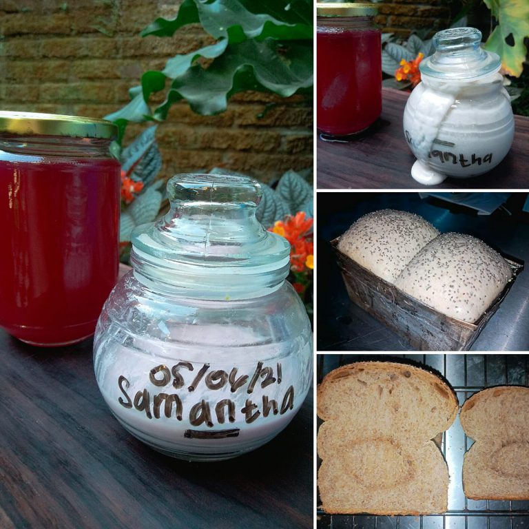 Vegan whole wheat bread by Dodik Aprianto