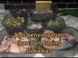 tips cara menyimpan daging dan ikan agar tidak cepat busuk dan tahan lama by Kinanti Citra