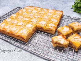 NASTAR LEKKER HOLLAND by Farah Dina