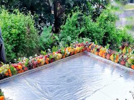 buah untuk dekorasi display masakan by Wita Lawin