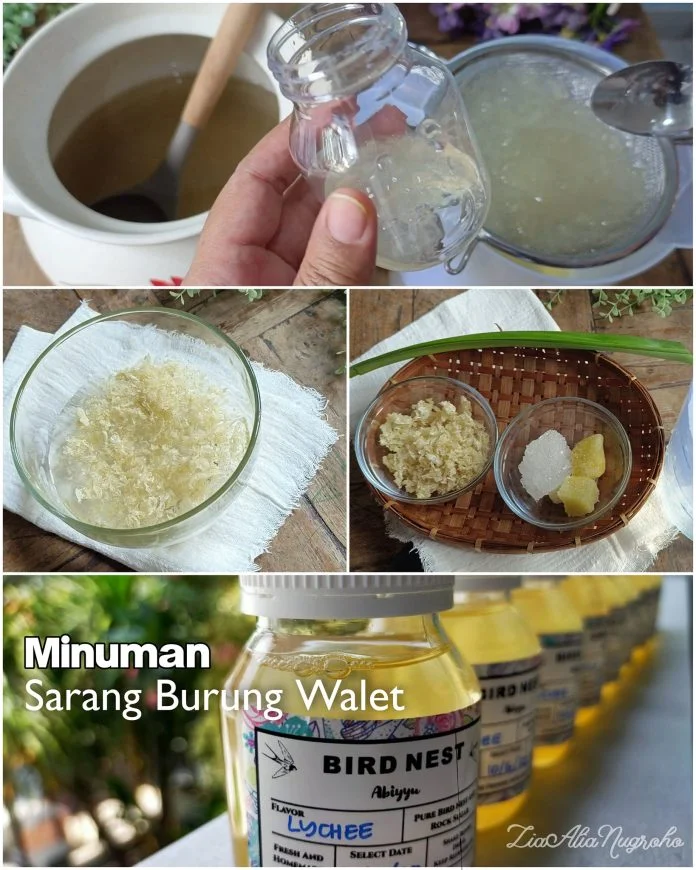 MINUMAN SARANG BURUNG WALET